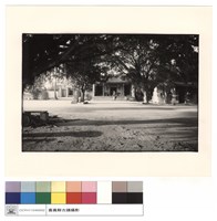 藏品(正門)的圖片