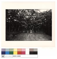 藏品(正面)的圖片