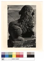 藏品(石獅)的圖片