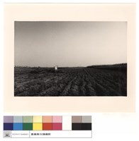 藏品(遠景)的圖片