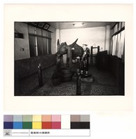 藏品(牛)的圖片