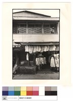 藏品(正面)的圖片