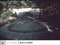 藏品(背觀)的圖片