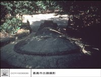 藏品(背觀)的圖片