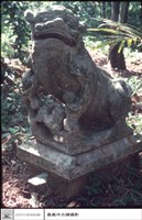 藏品(石獅)的圖片