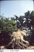 藏品(鳳凰(左))的圖片