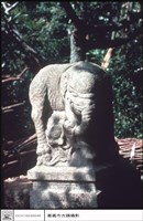 藏品(大象)的圖片