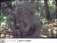 藏品(獅子)的圖片