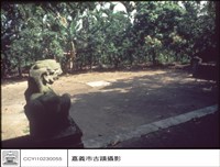 藏品(獅子)的圖片