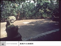 藏品(獅子)的圖片