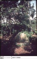 藏品(后土)的圖片