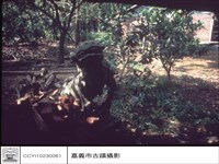 藏品(大公獅)的圖片