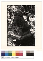 藏品(石獅子)的圖片