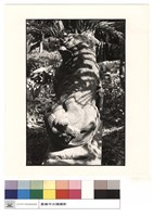 藏品(石獅子)的圖片