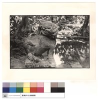 藏品(麒麟)的圖片