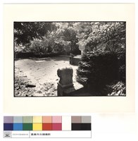 藏品(全景)的圖片