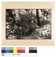 藏品(獅子)的圖片