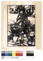 藏品(獅子)的圖片