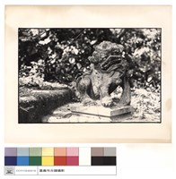 藏品(獅子)的圖片