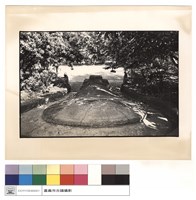 藏品(背觀)的圖片