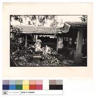 藏品(大公獅)的圖片