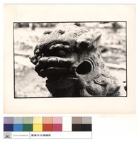 藏品(大公獅)的圖片