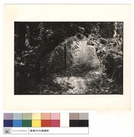 藏品(后土)的圖片