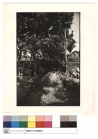 藏品(后土)的圖片