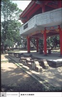 藏品(左側觀)的圖片