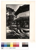 藏品(右側觀)的圖片