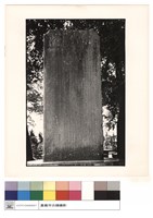 藏品(正面)的圖片