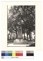 藏品(正面)的圖片