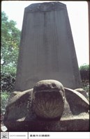 藏品(仰視)的圖片