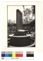 藏品(右側)的圖片