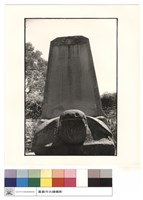 藏品(仰視)的圖片