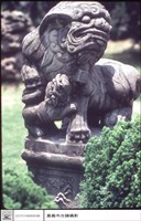 藏品(石獅)的圖片