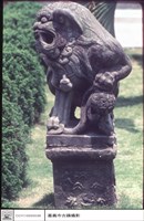 藏品(石獅)的圖片