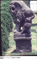 藏品(石獅)的圖片