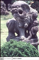 藏品(石獅)的圖片