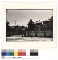 藏品(正面)的圖片