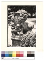 藏品(石獅)的圖片