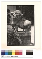 藏品(石獅)的圖片