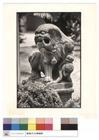 藏品(石獅)的圖片