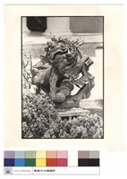 藏品(石獅)的圖片