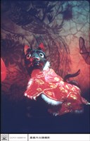 藏品(狗像)的圖片