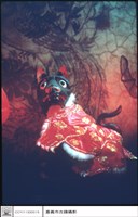 藏品(狗像)的圖片