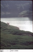 藏品(水與風景)的圖片