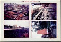 藏品((照片))的圖片