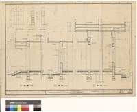 藏品(剖面圖)的圖片