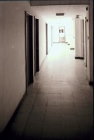 藏品(N/A)的圖片